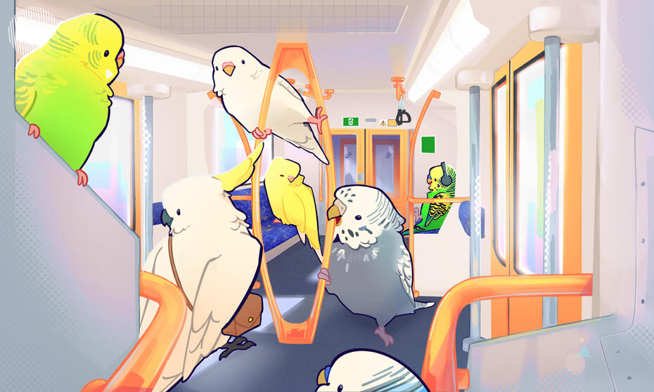 my budgies on the train